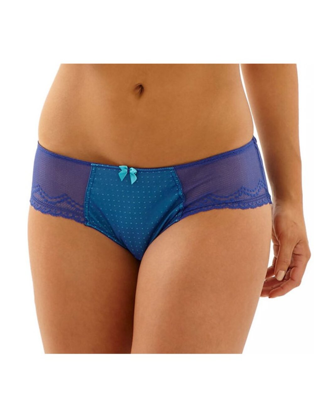 NWT Cleo by Panache Hettie Brief 9012